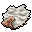 white deer skin