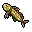 sandfish