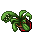 flower pot