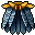 calopteryx cape