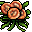 soothe bloom