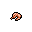 shrimp