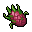 dragon fruit