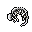 dead skunk