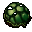 dead tortoise