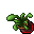 flower pot